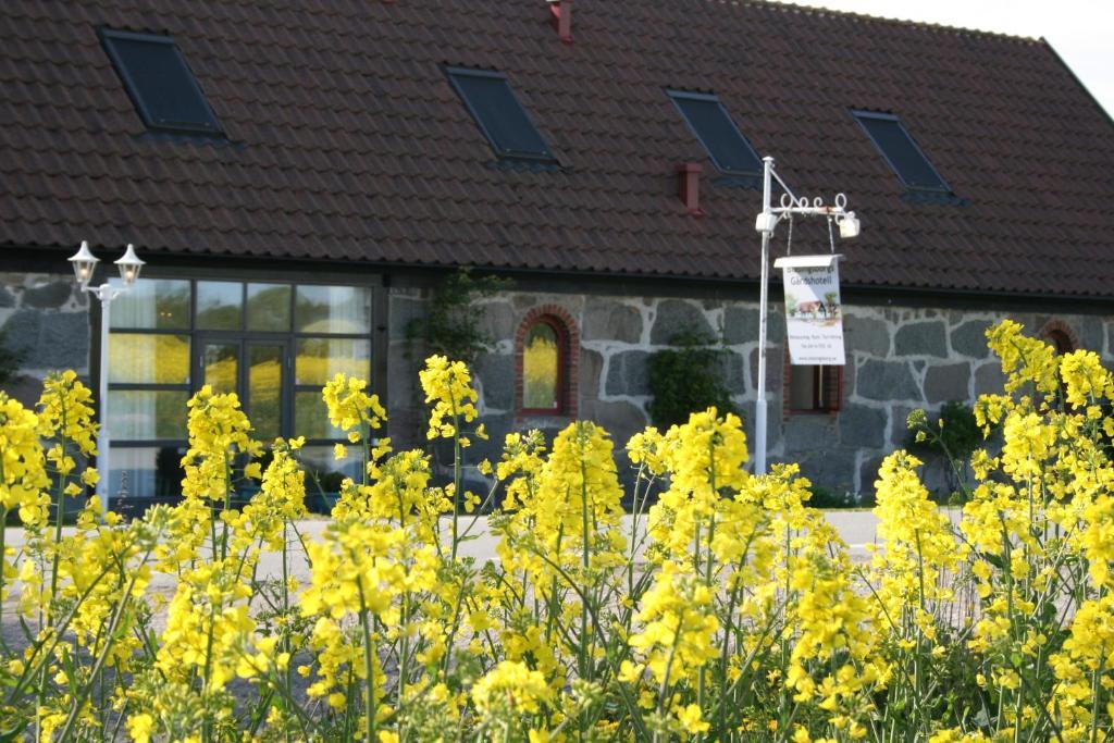 קיוויק Blasingsborgs Gardshotell Pa Oesterlen מראה חיצוני תמונה